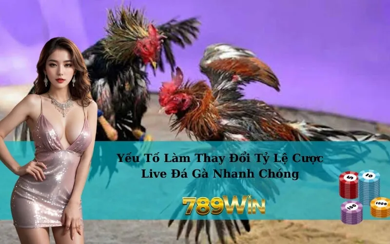 Yếu Tố Làm Thay Đổi Tỷ Lệ Cược Live Đá Gà Nhanh Chóng